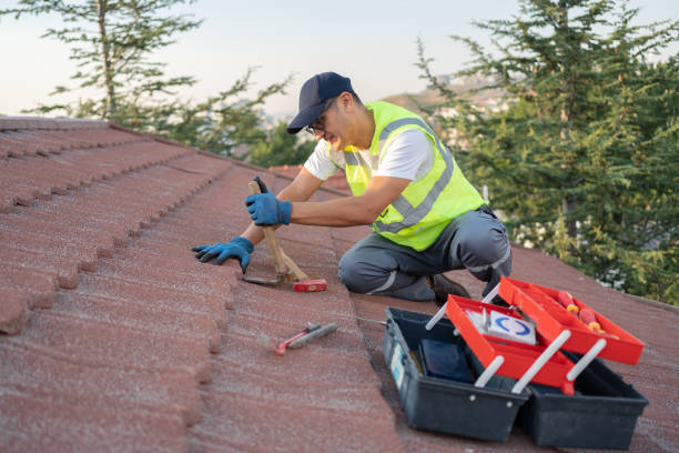 Best Storm Damage Roof Repair  in Lake Crystal, MN